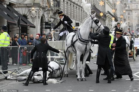 horses in london blood
